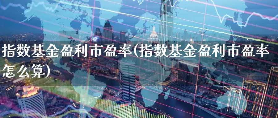 指数基金盈利市盈率(指数基金盈利市盈率怎么算)_https://www.lfyiying.com_股票分类_第1张