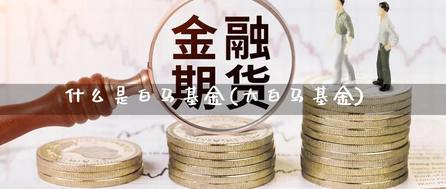 什么是白马基金(大白马基金)_https://www.lfyiying.com_股票百科_第1张