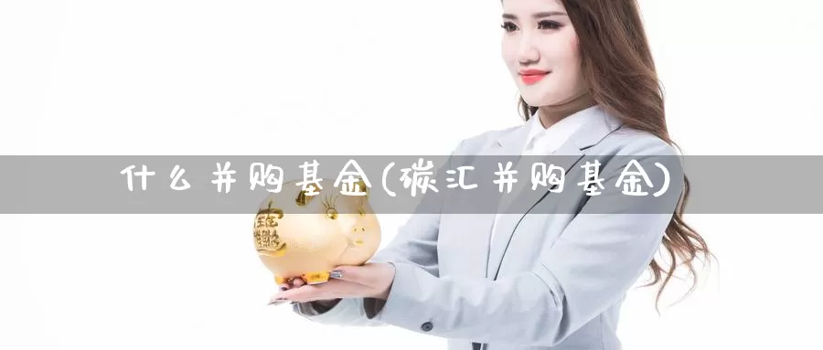 什么并购基金(碳汇并购基金)_https://www.lfyiying.com_个股_第1张