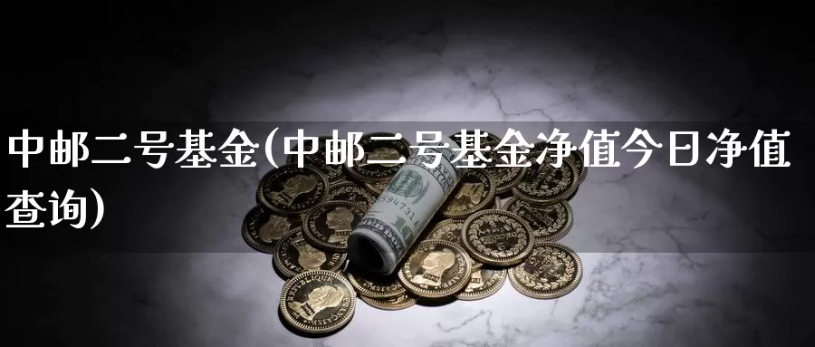 中邮二号基金(中邮二号基金净值今日净值查询)_https://www.lfyiying.com_美股_第1张