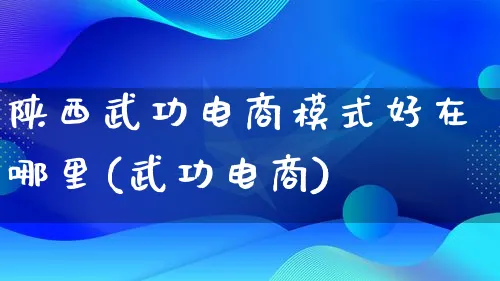 陕西武功电商模式好在哪里(武功电商)_https://www.lfyiying.com_股票百科_第1张