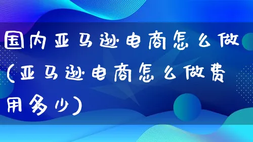 国内亚马逊电商怎么做(亚马逊电商怎么做费用多少)_https://www.lfyiying.com_个股_第1张