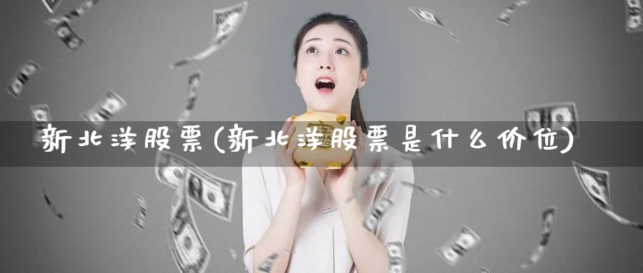 新北洋股票(新北洋股票是什么价位)_https://www.lfyiying.com_港股_第1张