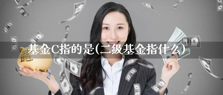 基金C指的是(二级基金指什么)_https://www.lfyiying.com_个股_第1张