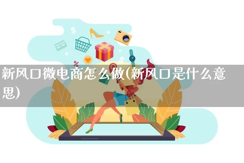 新风口微电商怎么做(新风口是什么意思)_https://www.lfyiying.com_港股_第1张