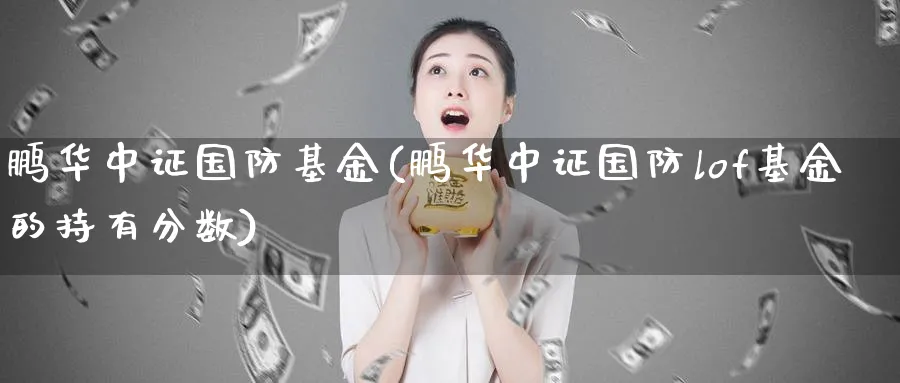 鹏华中证国防基金(鹏华中证国防lof基金的持有分数)_https://www.lfyiying.com_证券_第1张