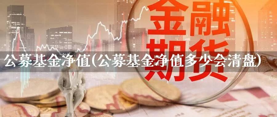 公募基金净值(公募基金净值多少会清盘)_https://www.lfyiying.com_股吧_第1张