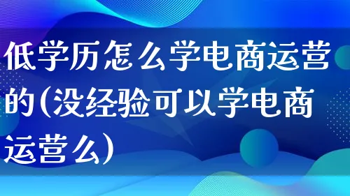 低学历怎么学电商运营的(没经验可以学电商运营么)_https://www.lfyiying.com_股票百科_第1张