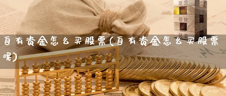 自有资金怎么买股票(自有资金怎么买股票呢)_https://www.lfyiying.com_港股_第1张