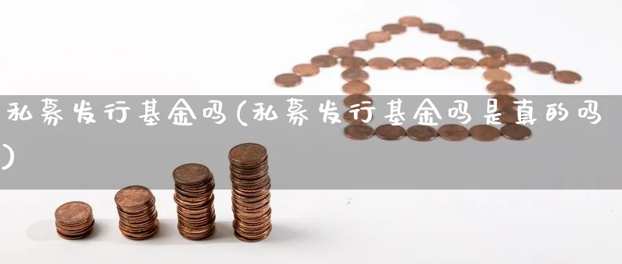 私募发行基金吗(私募发行基金吗是真的吗)_https://www.lfyiying.com_证券_第1张