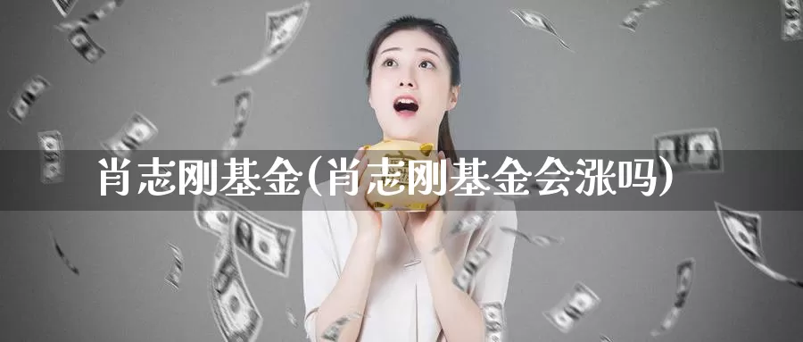 肖志刚基金(肖志刚基金会涨吗)_https://www.lfyiying.com_股票分类_第1张