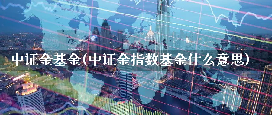 中证金基金(中证金指数基金什么意思)_https://www.lfyiying.com_股票分类_第1张