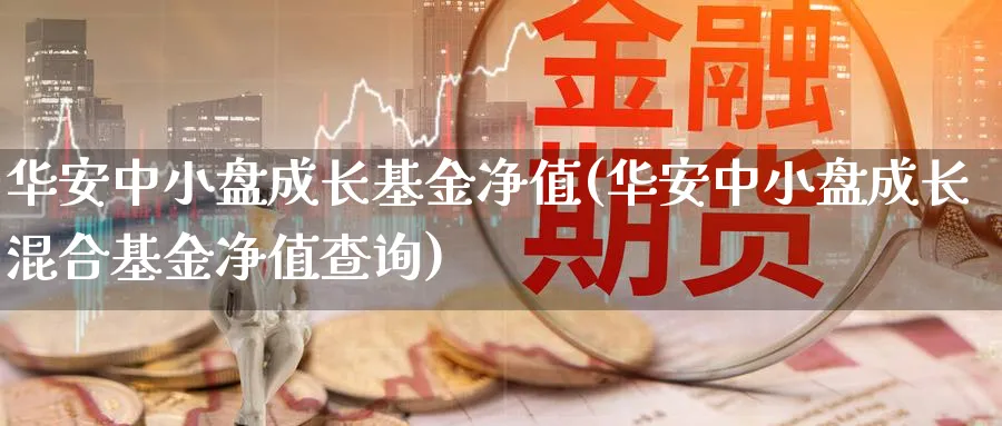 华安中小盘成长基金净值(华安中小盘成长混合基金净值查询)_https://www.lfyiying.com_股票百科_第1张