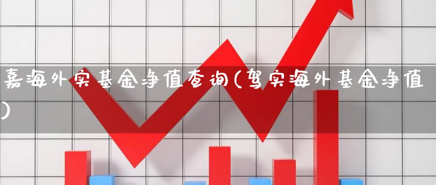 嘉海外实基金净值查询(驾实海外基金净值)_https://www.lfyiying.com_股票分类_第1张