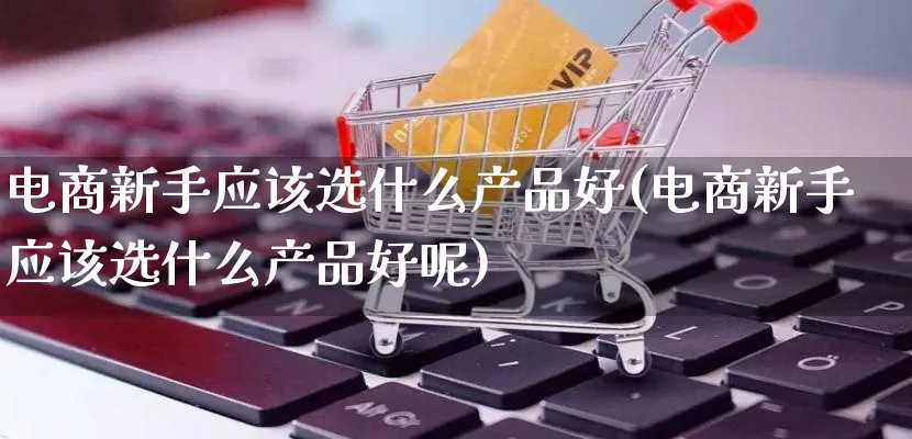 电商新手应该选什么产品好(电商新手应该选什么产品好呢)_https://www.lfyiying.com_美股_第1张