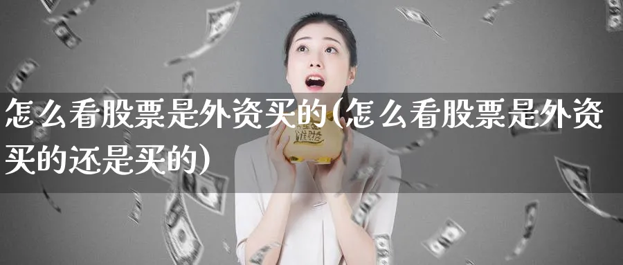 怎么看股票是外资买的(怎么看股票是外资买的还是买的)_https://www.lfyiying.com_股吧_第1张