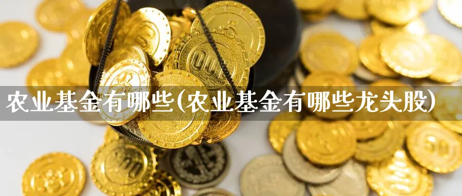 农业基金有哪些(农业基金有哪些龙头股)_https://www.lfyiying.com_证券_第1张