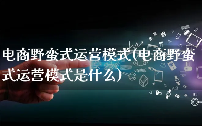 电商野蛮式运营模式(电商野蛮式运营模式是什么)_https://www.lfyiying.com_股票百科_第1张