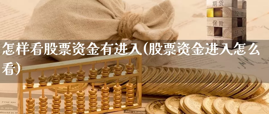 怎样看股票资金有进入(股票资金进入怎么看)_https://www.lfyiying.com_证券_第1张