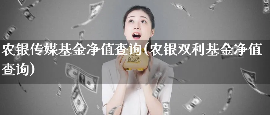 农银传媒基金净值查询(农银双利基金净值查询)_https://www.lfyiying.com_个股_第1张