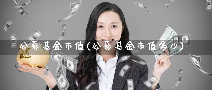 公募基金市值(公募基金市值多少)_https://www.lfyiying.com_港股_第1张