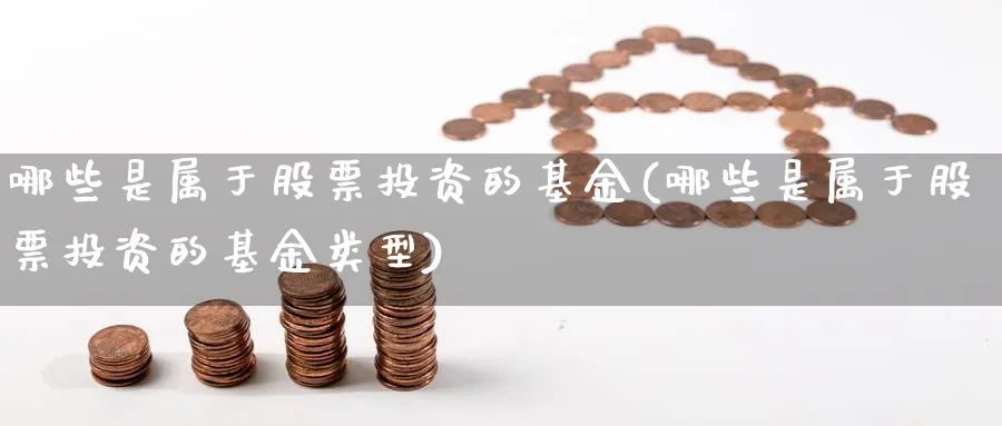 哪些是属于股票投资的基金(哪些是属于股票投资的基金类型)_https://www.lfyiying.com_港股_第1张