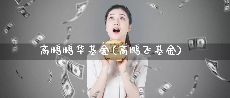 高鹏鹏华基金(高鹏飞基金)_https://www.lfyiying.com_股吧_第1张