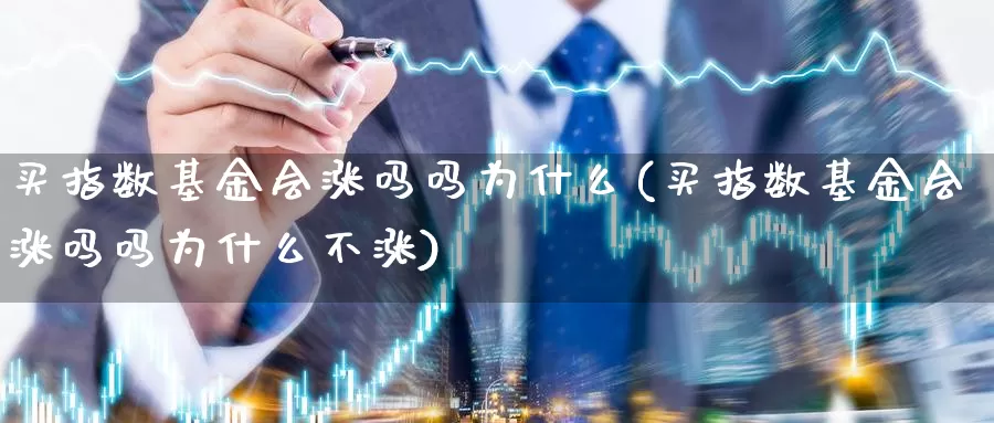 买指数基金会涨吗吗为什么(买指数基金会涨吗吗为什么不涨)_https://www.lfyiying.com_港股_第1张