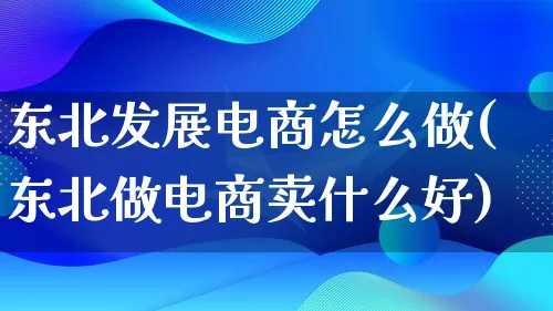 东北发展电商怎么做(东北做电商卖什么好)_https://www.lfyiying.com_股票百科_第1张