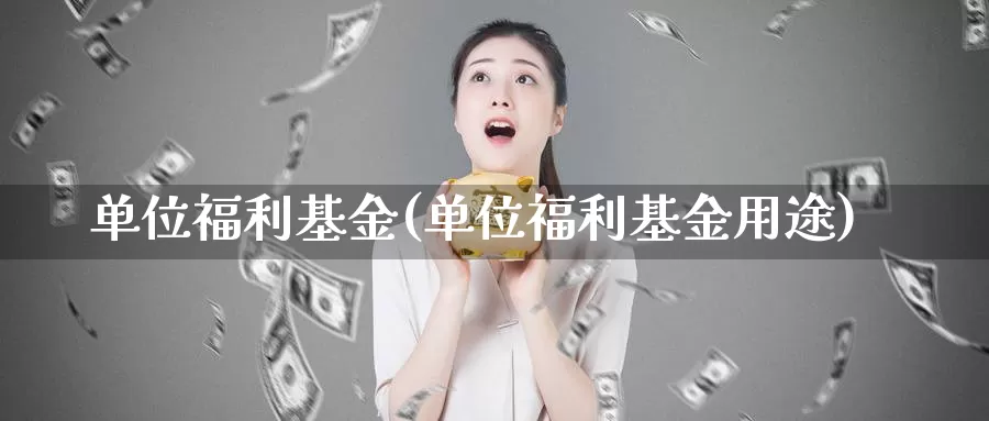 单位福利基金(单位福利基金用途)_https://www.lfyiying.com_股票百科_第1张