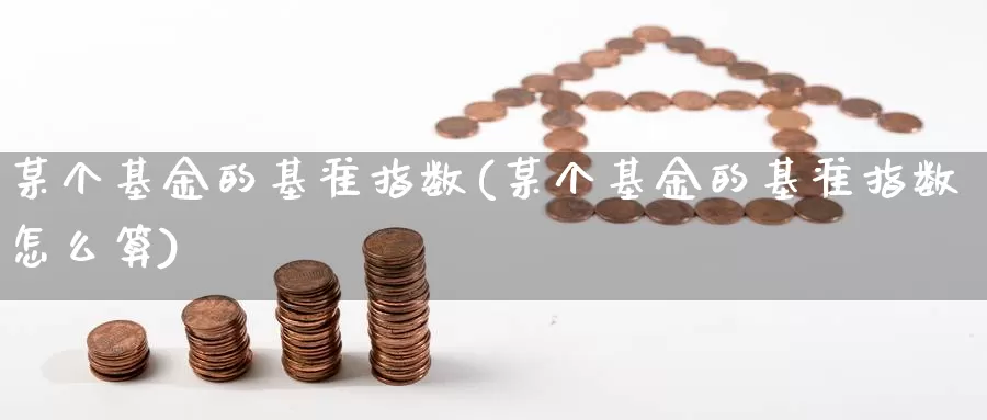 某个基金的基准指数(某个基金的基准指数怎么算)_https://www.lfyiying.com_港股_第1张