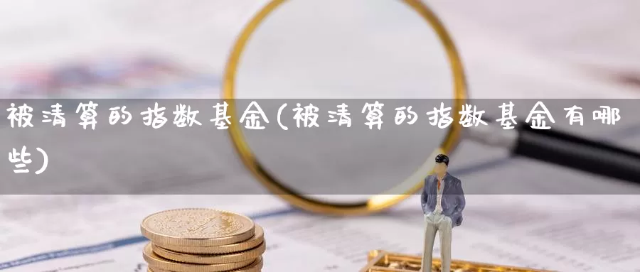 被清算的指数基金(被清算的指数基金有哪些)_https://www.lfyiying.com_证券_第1张