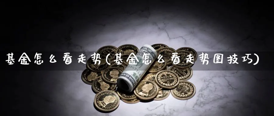 基金怎么看走势(基金怎么看走势图技巧)_https://www.lfyiying.com_港股_第1张