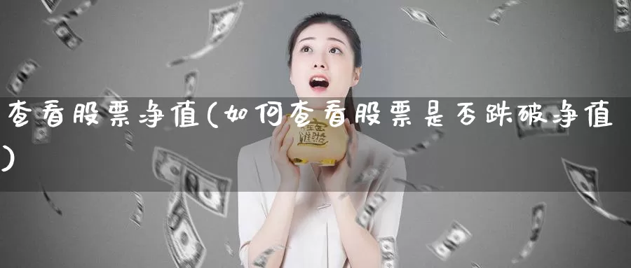 查看股票净值(如何查看股票是否跌破净值)_https://www.lfyiying.com_股票分类_第1张