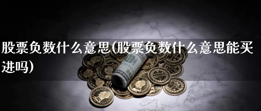 股票负数什么意思(股票负数什么意思能买进吗)_https://www.lfyiying.com_股票分类_第1张