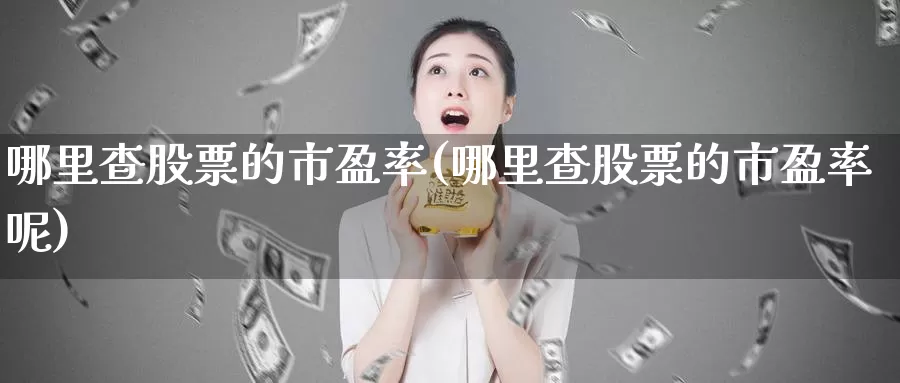 哪里查股票的市盈率(哪里查股票的市盈率呢)_https://www.lfyiying.com_股票分类_第1张