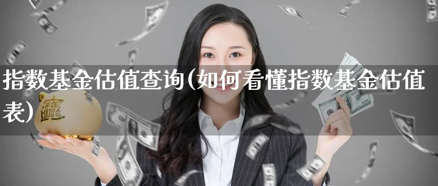 指数基金估值查询(如何看懂指数基金估值表)_https://www.lfyiying.com_美股_第1张