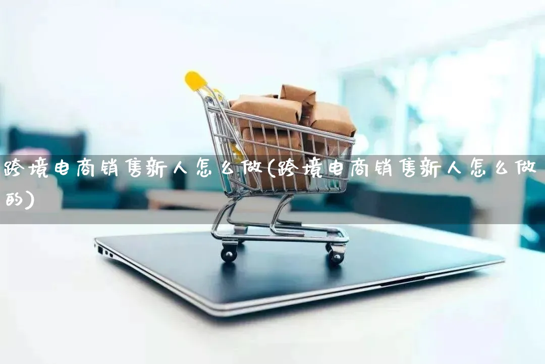 跨境电商销售新人怎么做(跨境电商销售新人怎么做的)_https://www.lfyiying.com_新股_第1张