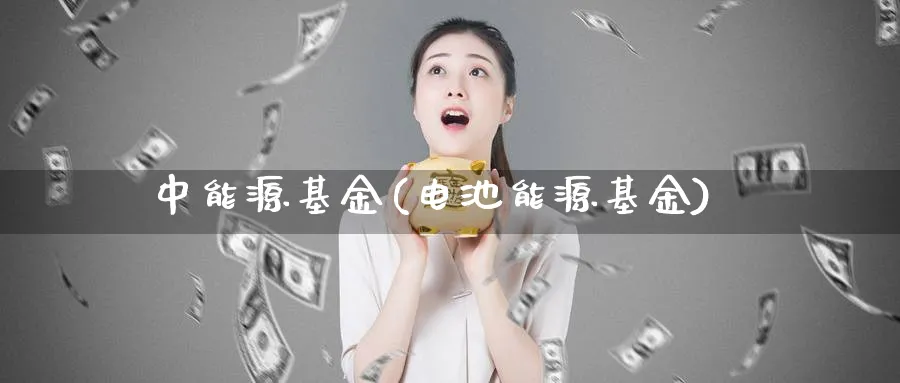 中能源基金(电池能源基金)_https://www.lfyiying.com_股票百科_第1张