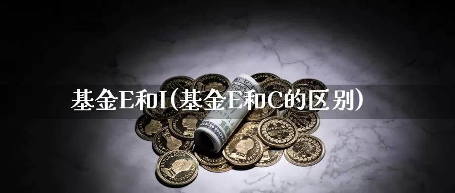 基金E和I(基金E和C的区别)_https://www.lfyiying.com_股票分类_第1张