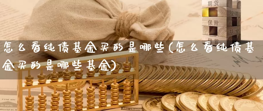 怎么看纯债基金买的是哪些(怎么看纯债基金买的是哪些基金)_https://www.lfyiying.com_股票百科_第1张