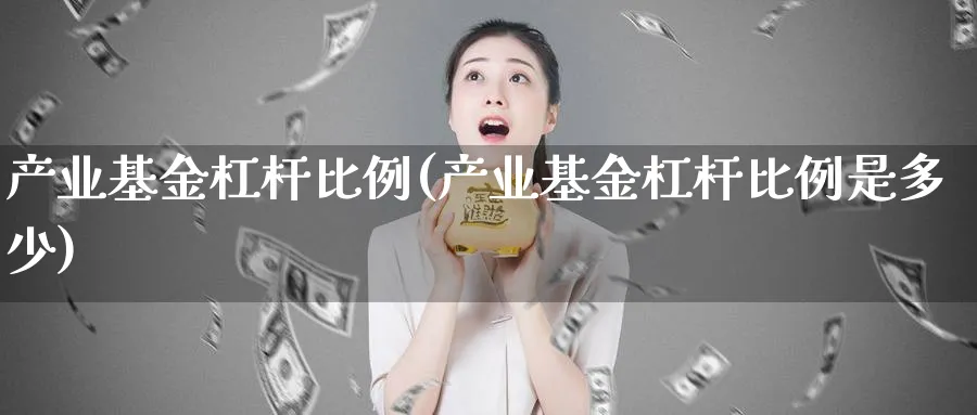 产业基金杠杆比例(产业基金杠杆比例是多少)_https://www.lfyiying.com_股票分类_第1张