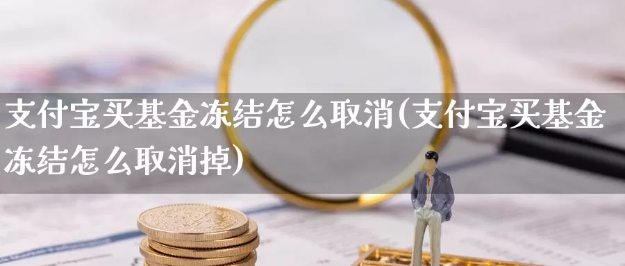 支付宝买基金冻结怎么取消(支付宝买基金冻结怎么取消掉)_https://www.lfyiying.com_港股_第1张