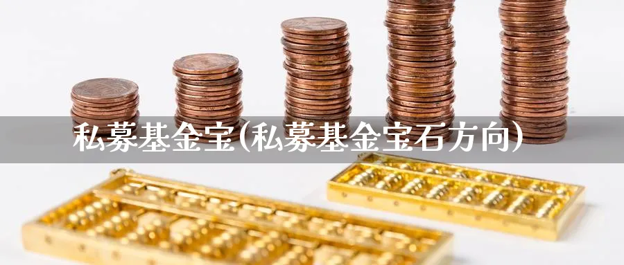 私募基金宝(私募基金宝石方向)_https://www.lfyiying.com_股票分类_第1张