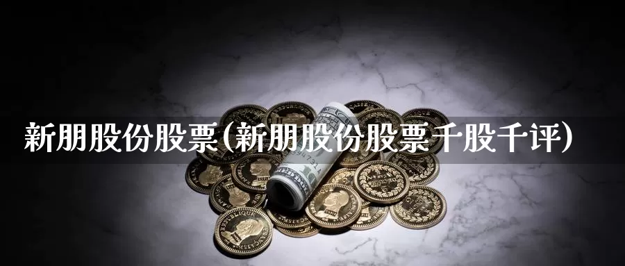 新朋股份股票(新朋股份股票千股千评)_https://www.lfyiying.com_美股_第1张