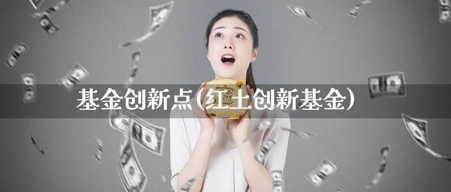 基金创新点(红土创新基金)_https://www.lfyiying.com_港股_第1张