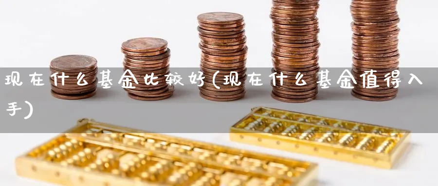 现在什么基金比较好(现在什么基金值得入手)_https://www.lfyiying.com_美股_第1张