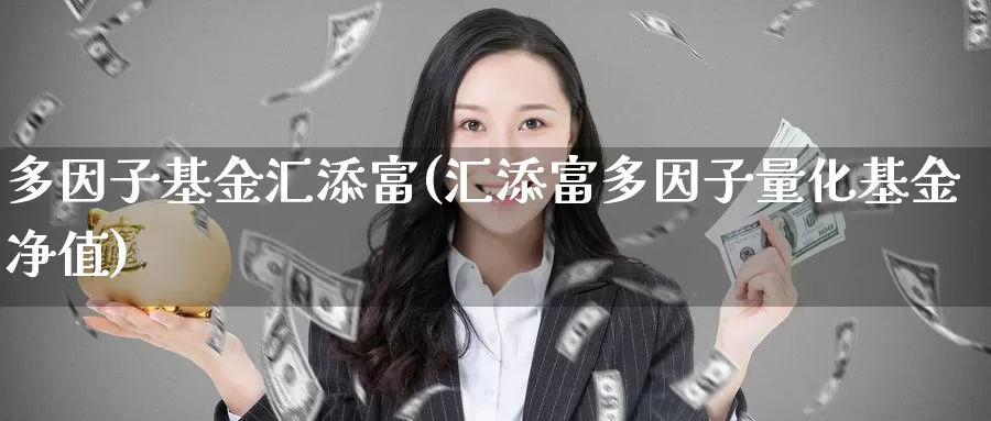 多因子基金汇添富(汇添富多因子量化基金净值)_https://www.lfyiying.com_股票百科_第1张