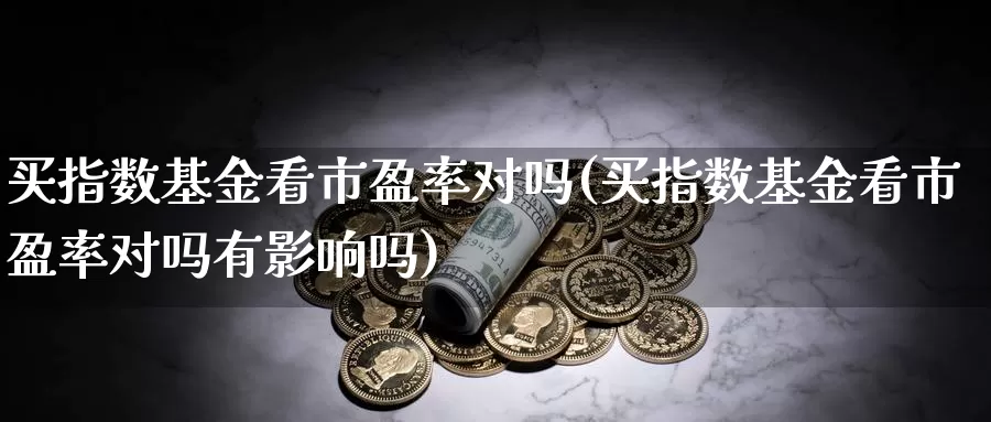 买指数基金看市盈率对吗(买指数基金看市盈率对吗有影响吗)_https://www.lfyiying.com_股票百科_第1张