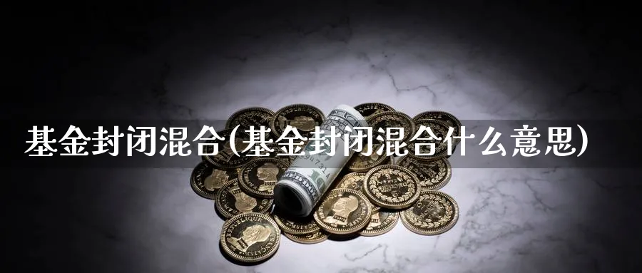 基金封闭混合(基金封闭混合什么意思)_https://www.lfyiying.com_股票百科_第1张